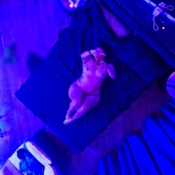 Escort Magali MZA tel:+54 9 2996 72-4470 en Centro » Neuquen