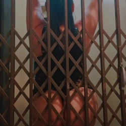 Escort Aylin tel:+5492215768148 en La Plata » Buenos Aires