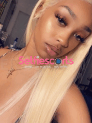 Stacey Escorts Miami Stop looking you’ve found the perfect girl!