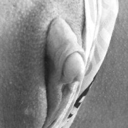 Escort Brazilian Rebeca tel:+55 22 98143-5706 en Búzios » Rio de Janeiro